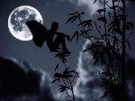 Ascolta i passi furtivi della notte