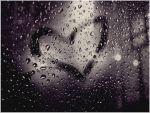 Per caso l�amore