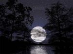 Uno sguardo al cielo