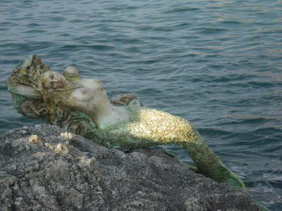 Anima di Mare