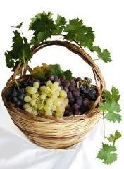 A vinnigna