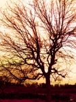 Novembre