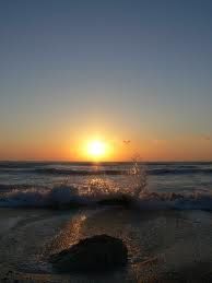 Come il sole