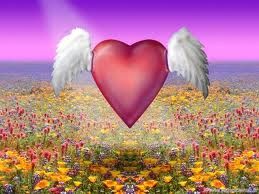 Amare due volte