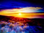 Il miracolo del sole!(La vera amicizia)