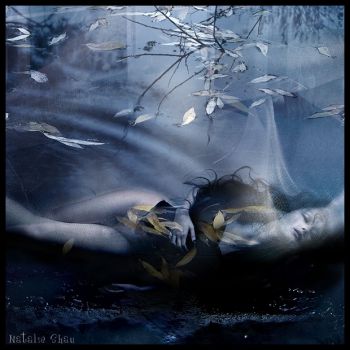 Aspetti la notte