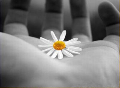 Felicit�  