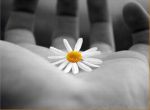 Felicit�  