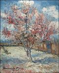 La bellezza di Marzo  