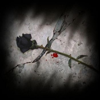 Ultime raccomandazioni prima di morire (Sopruso n�3)  