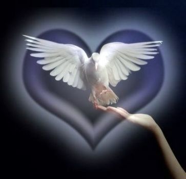 L'amore incontenibile