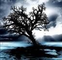Dirge for november