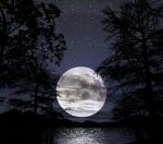 Notte