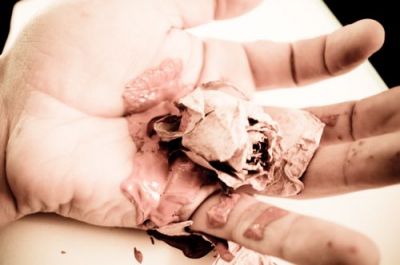 Non ho pi� il tuo morbo della bont�  