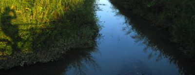 Riflessioni