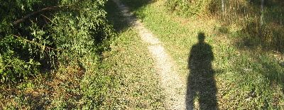 Creazione... e Dio cre� l'uomo