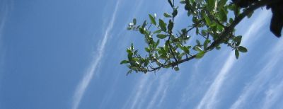 Dentro il cielo