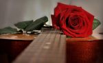 Dolce canzone