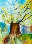 Albero e poesia