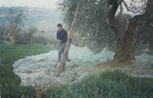 In quel bisogno
