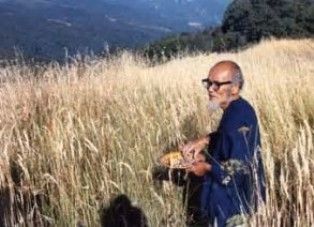 Questa societ� � sommersa