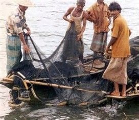 Nel mare � il mio pensiero
