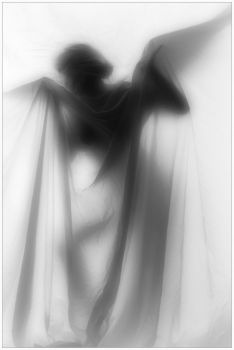 Nebbia  