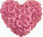 Un cuore di rose  