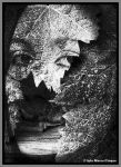 Il tunnel