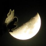 Da qui vedo la luna