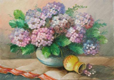 Ortensie
