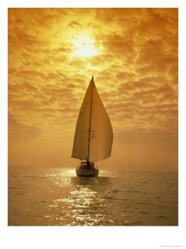 Spiegami cos'� l'amore