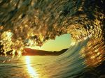 Dor�ta spuma