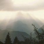 Bruma