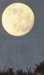 Luna frangibile