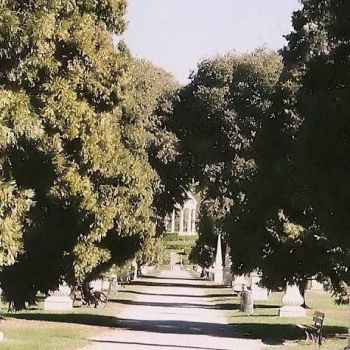 Palladio