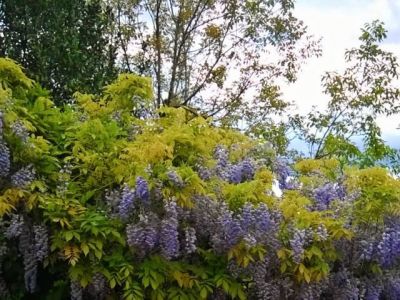 Nati d�aprile