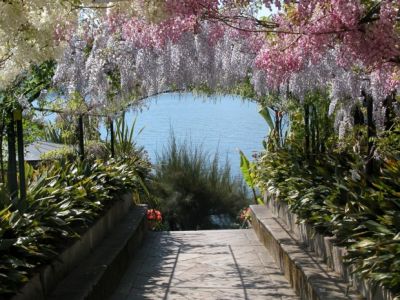 Sogno di maggio