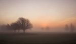 Oggi la nebbia � quasi un incendio