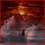 Non pu� finire qui  