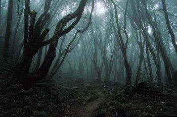 La selva oscura