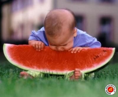 Il cocomero