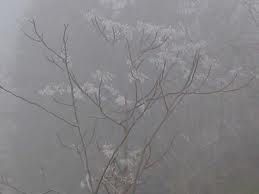 Oltre la Nebbia  