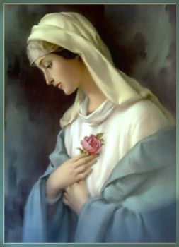 Donna su tutte le donne  