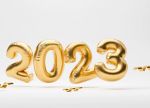 L�anno che verr�