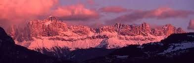 Rosa tramonto