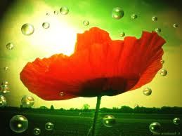 Stringo i battiti