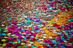 Coriandoli in fiore
