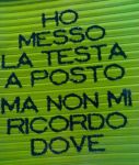 Sar� cinesche  
