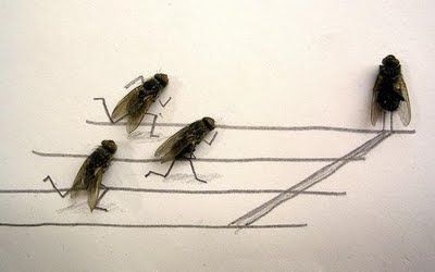 Sono la mosca appiccicata al soffito di settembre  